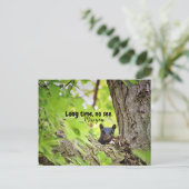 長時間、はがき表示なし ポストカード (スタンド正面)