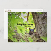 長時間、はがき表示なし ポストカード (正面/裏面)