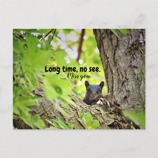 長時間、はがき表示なし ポストカード (正面)