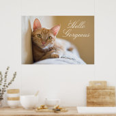 長椅子に横たわる子猫 ポスター (キッチン)