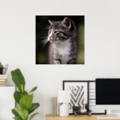 長椅子に立つ子猫 ポスター (ホームオフィス)