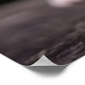 長椅子に立つ子猫 ポスター (角)