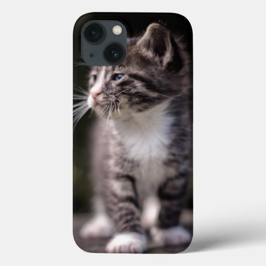 長椅子に立つ子猫 Case-Mate iPhoneケース (裏面)
