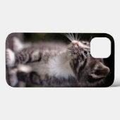長椅子に立つ子猫 Case-Mate iPhoneケース (裏面 (横))