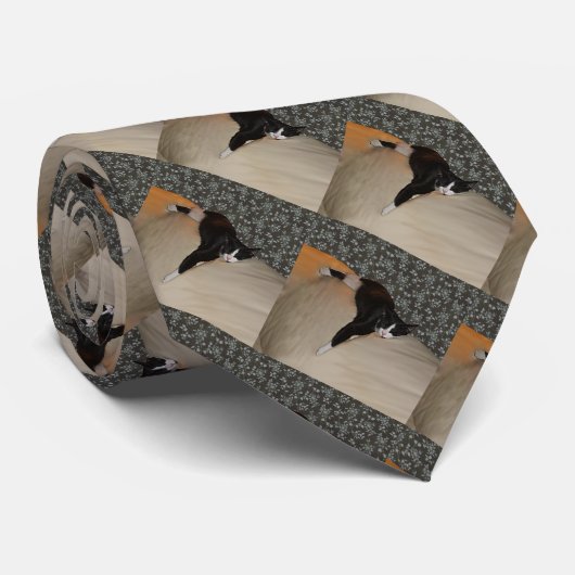 長椅子のネクタイの上で眠る猫 ネクタイ (ロール)