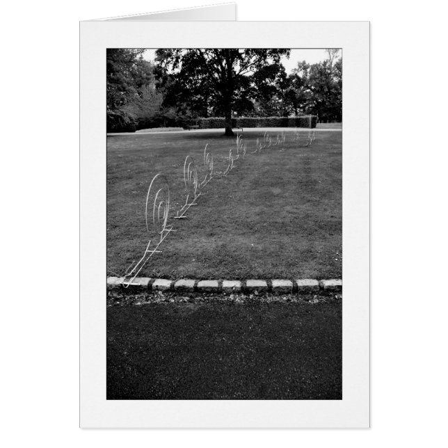 長比長比 (正面)