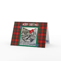 長毛のエキゾチック猫メリークリスマスカード