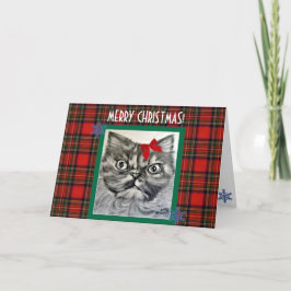 長毛のエキゾチック猫メリークリスマスカード シーズンカード