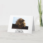 長毛のタビー猫誕生日カード カード (裏面)