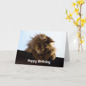 長毛のタビー猫誕生日カード カード (黄色い花)