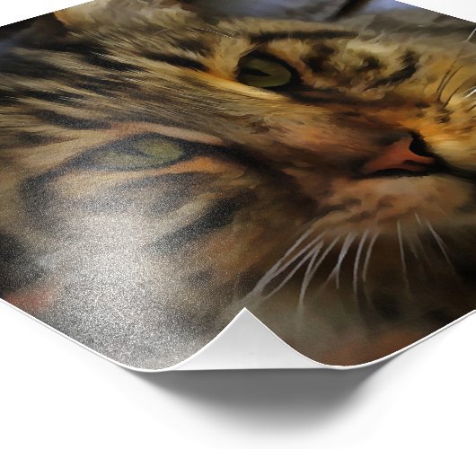 長毛のタビー猫　芸術的なペットの肖像画ｖ２ フォトプリント            (角)