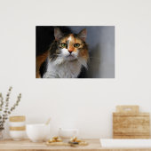 長毛の三毛猫 ポスター (キッチン)