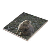 長毛の猫用ペット用タイル タイル (側面)