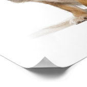 長毛チワワの子犬 ポスター (角)