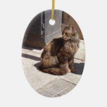 長毛ペルシャ猫ペトラ