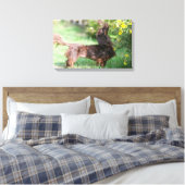 長毛ミニチュアダックスシュント1 キャンバスプリント (インサイチュ (寝室))