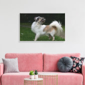 長毛千華カメラを見て キャンバスプリント (インサイチュ (リビング))