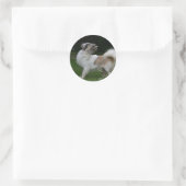 長毛千華カメラを見て ラウンドシール (バッグ)