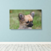 長毛千華子犬カメラを見て キャンバスプリント (インサイチュ (ウッドフロア))