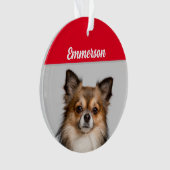 長毛千華犬と名前とフォトオルナ オーナメント (正面)
