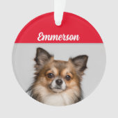 長毛千華犬と名前とフォトオルナ オーナメント (正面)