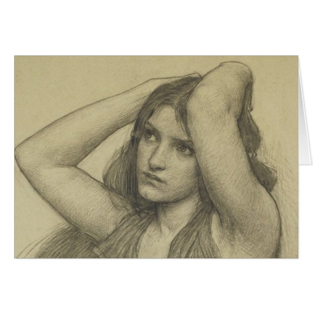 長毛植物 (正面横)