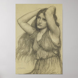 長毛植物 ポスター