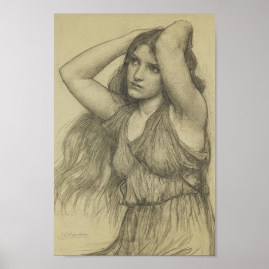 長毛植物 ポスター (正面)