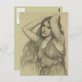 長毛植物 ポストカード (正面/裏面)