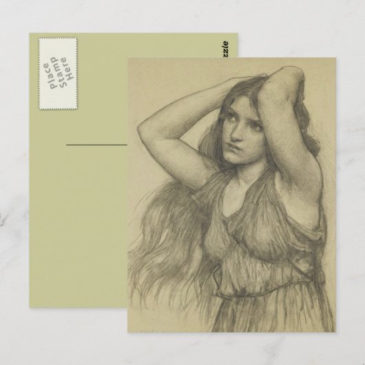 長毛植物 ポストカード (正面/裏面)