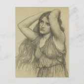 長毛植物 ポストカード (正面)