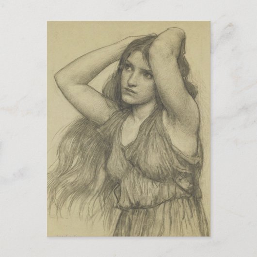 長毛植物 ポストカード (正面)