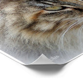 長毛猫フォトポートレートポスター ポスター (角)