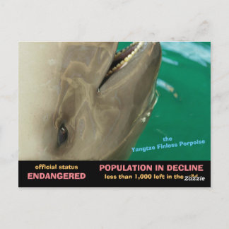 長江フィナーレスポアズは絶滅危惧種である。 ポストカード