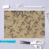 長粒およびワイルドライスのティッシュペーパー 薄葉紙 (クラフト)