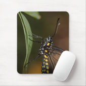 長翼の側面図 マウスパッド (マウス)