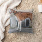 長老ブラインドグレイハウンド クッション (ブランケット)