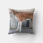 長老ブラインドグレイハウンド クッション (裏面)