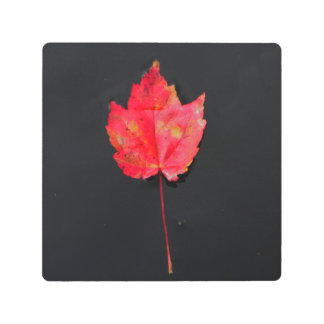 長茎赤葉 メタルプリント