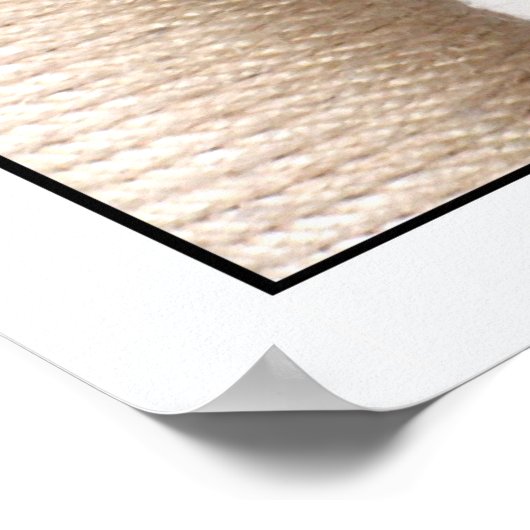 長蛇 ポスター (角)