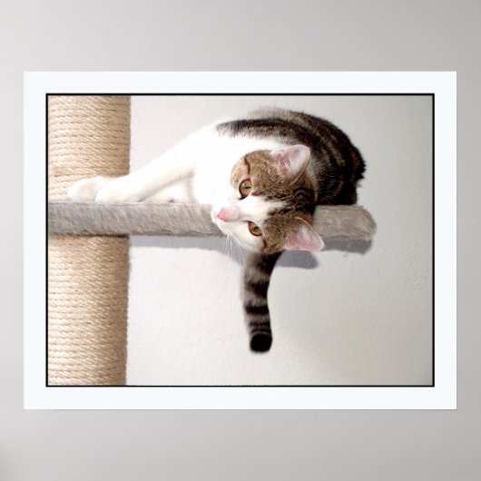 長蛇 ポスター (正面)