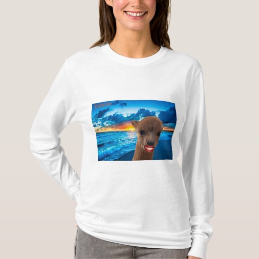 長袖ベーシックtee女性 tシャツ (正面)