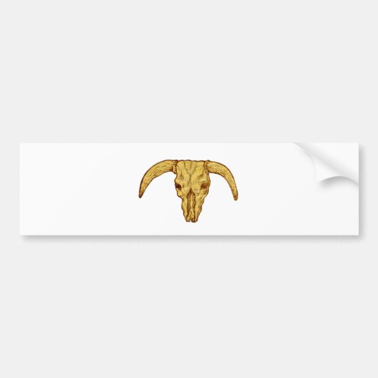 長角牛の雄牛のスカルのグランジな質 バンパーステッカー (正面)