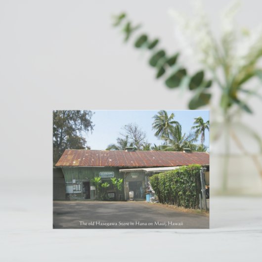 長谷川店 ポストカード (スタンド正面)