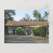 長谷川店 ポストカード (正面)