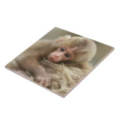 長野市地獄谷雪猿ベビー2 タイル (側面)