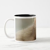 長野市地獄谷雪猿ベビー2 ツートーンマグカップ (左)