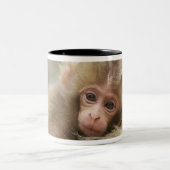 長野市地獄谷雪猿ベビー2 ツートーンマグカップ (中央)