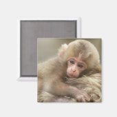 長野市地獄谷雪猿ベビー2 マグネット (正面/裏面)