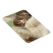 長野市地獄谷雪猿ベビー マグネット (右側)